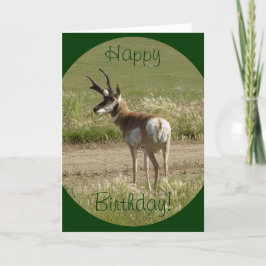 A39 Pronghorn Antelope Buck Karte