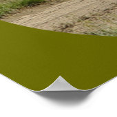 A39 Pronghorn Antelope Buck Poster (Ecke)