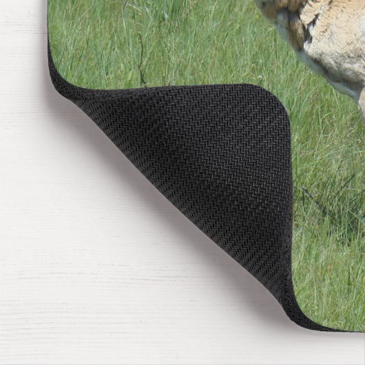 A3 Pronghorn Antelope Buck Mousepad (Ecke)