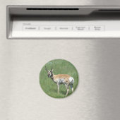 A3 Pronghorn Antelope Magnet (In Situ (Geschirrspüler))