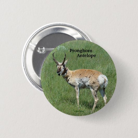 A3 Pronghorn Antilope Button (Vorne & Hinten)