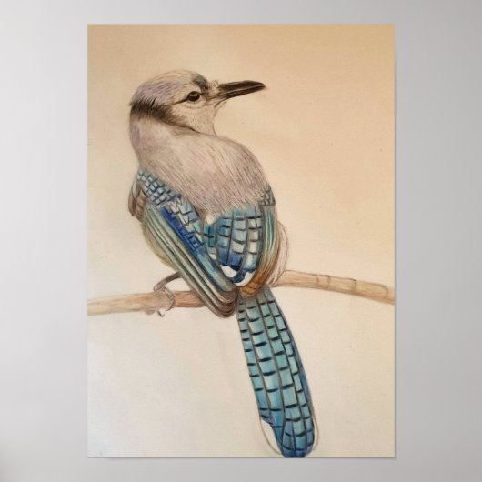 A3 Schön blauer Jay Stift Zeichne Druck Poster (Vorne)