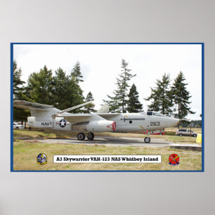 A3 Skywarrior VAH 123 Flugzeugplakat Poster