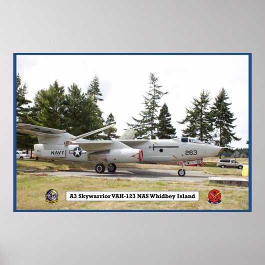 A3 Skywarrior VAH 123 Flugzeugplakat Poster (Vorne)