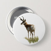 A43 Pronghorn Antelope Buck Button (Vorne & Hinten)