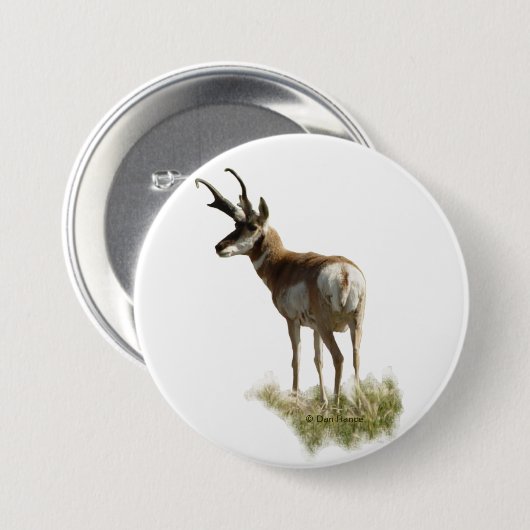A43 Pronghorn Antelope Buck Button (Vorne & Hinten)