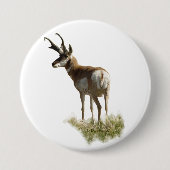 A43 Pronghorn Antelope Buck Button (Vorderseite)