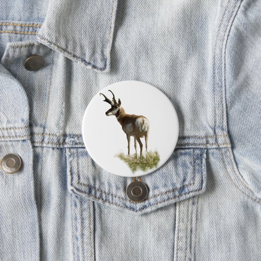 A43 Pronghorn Antelope Buck Button (Beispiel)