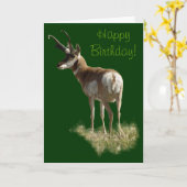 A43 Pronghorn Antelope Buck Karte (Gelbe Blume)