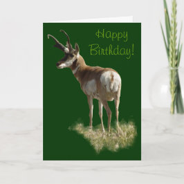A43 Pronghorn Antelope Buck Karte