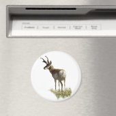 A43 Pronghorn Antelope Buck Magnet (In Situ (Geschirrspüler))