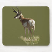 A43 Pronghorn Antelope Buck Mousepad (Vorne)