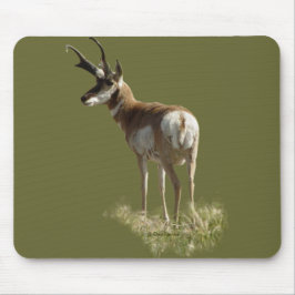 A43 Pronghorn Antelope Buck Mousepad