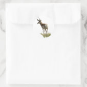 A43 Pronghorn Antelope Buck Runder Aufkleber (Tasche)