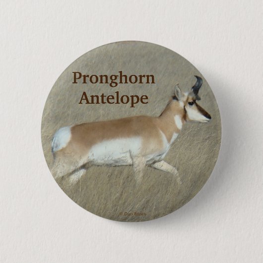 A44 Pronghorn Antelope Buck Button (Vorderseite)