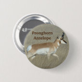 A44 Pronghorn Antelope Buck Button (Vorne & Hinten)