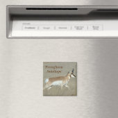 A44 Pronghorn Antelope Buck Magnet (In Situ (Geschirrspüler))
