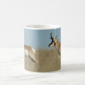 A44 Pronghorn Antelope Bucks Kaffeetasse (Mittel)