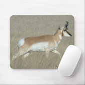 A44 Pronghorn Antilope Young Buck Mousepad (Mit Mouse)
