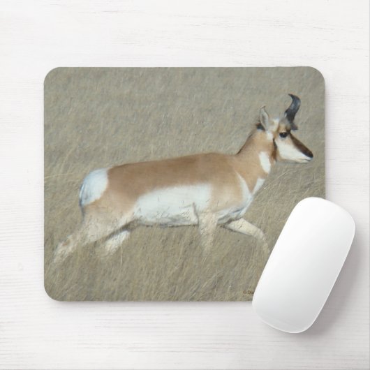 A44 Pronghorn Antilope Young Buck Mousepad (Mit Mouse)