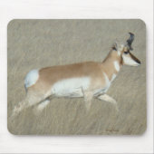 A44 Pronghorn Antilope Young Buck Mousepad (Vorne)