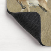 A45 Pronghorn Antelope Bucks Mousepad (Ecke)