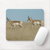A45 Pronghorn Antelope Bucks Mousepad (Mit Mouse)