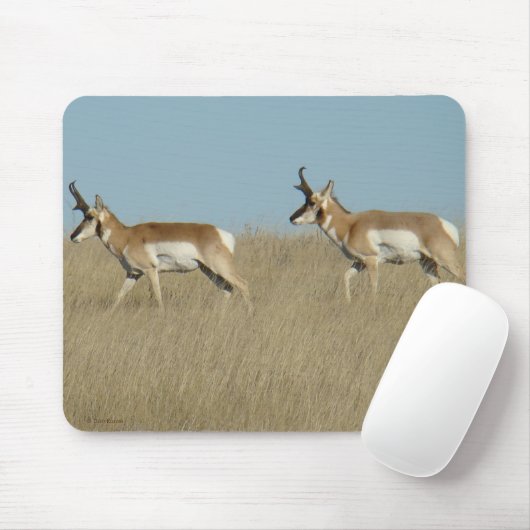 A45 Pronghorn Antelope Bucks Mousepad (Mit Mouse)