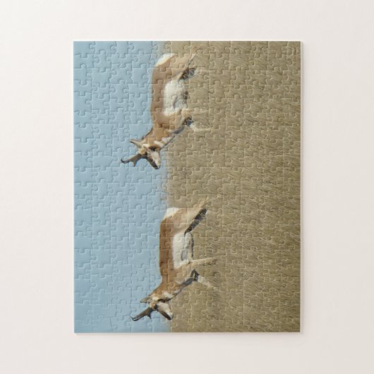 A45 Pronghorn Antelope Bucks Puzzle (Vertikal)
