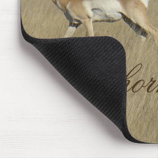 A45 Pronghorn Antelope Young Bucks Mousepad (Ecke)