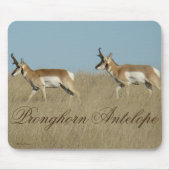 A45 Pronghorn Antelope Young Bucks Mousepad (Vorne)