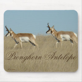 A45 Pronghorn Antelope Young Bucks Mousepad