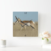 A45a Pronghorn Antelope Buck Quadratische Wanduhr (Zuhause)