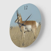 A46 Pronghorn Antelope Große Wanduhr (Winkel)