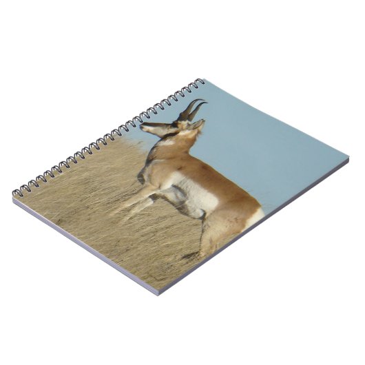 A46 Pronghorn Antelope Notizblock (Linke Seite)