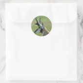 A47 Pronghorn Antelope Big Buck Head Profil Runder Aufkleber (Tasche)