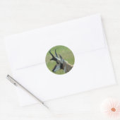 A47 Pronghorn Antelope Big Buck Head Profil Runder Aufkleber (Umschlag)
