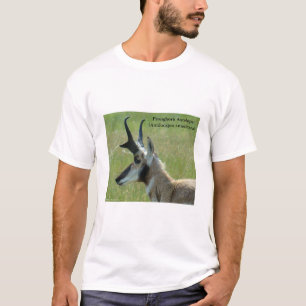 A47 Pronghorn Antelope Big Buck Head Profil T-Shirt