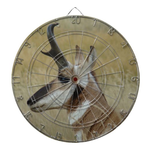 A4 Pronghorn Antelope Young Buck Head Shock Profil Dartscheibe (vorne)