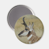 A4 Pronghorn Antelope Young Buck Head Shock Profil Magnet (Vorderseite/Rückseite)