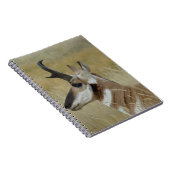 A4 Pronghorn Antelope Young Buck Head Shock Profil Notizblock (Rechte Seite)