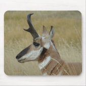 A4 Pronghorn Antilopen-Kopf-Profil Mousepad (Vorne)