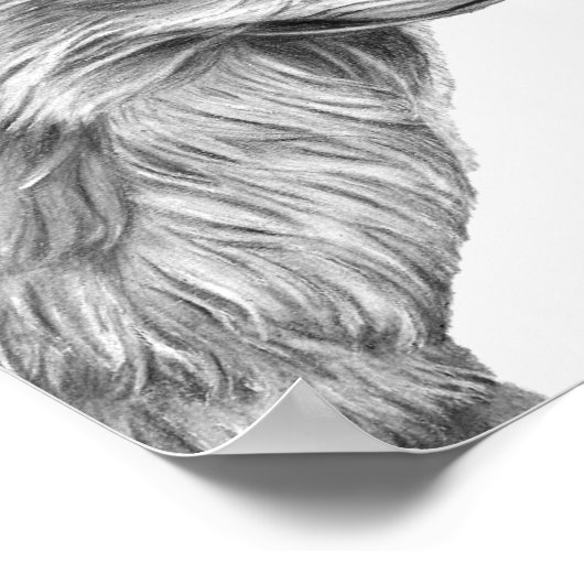 A4 Roter Fox-Stift Zeichnend Druckeinfarbigkeit Poster (Ecke)