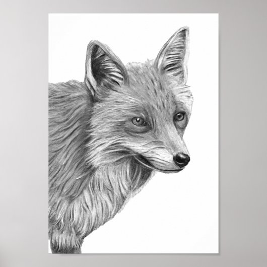 A4 Roter Fox-Stift Zeichnend Druckeinfarbigkeit Poster (Vorne)