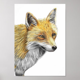 A4 Roter Foxenstopfstift Gezeichnet Druck Poster