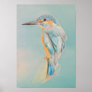 A4 Schöner Kingfisher-Stift, der Print Zeichne Poster