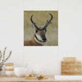 A5 Pronghorn Antelope Big Buck Head Shock Poster (Küche)