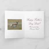 A5 Pronghorn Antelope Buck Shock Karte (Innenseite)