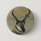 A5 Pronghorn Antelope Button (Vorderseite)