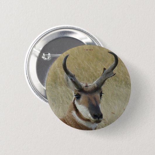 A5 Pronghorn Antelope Button (Vorne & Hinten)